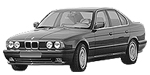 BMW E34 P1463 Fault Code